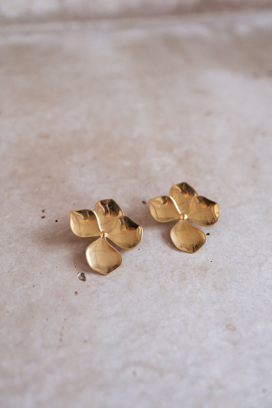 Golden Desy Earrings