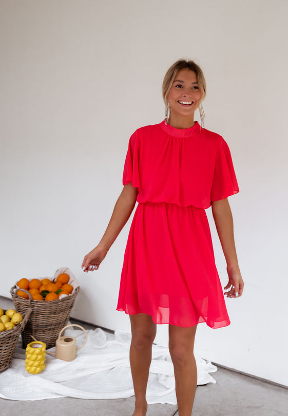 Raspberry Amandine Dress