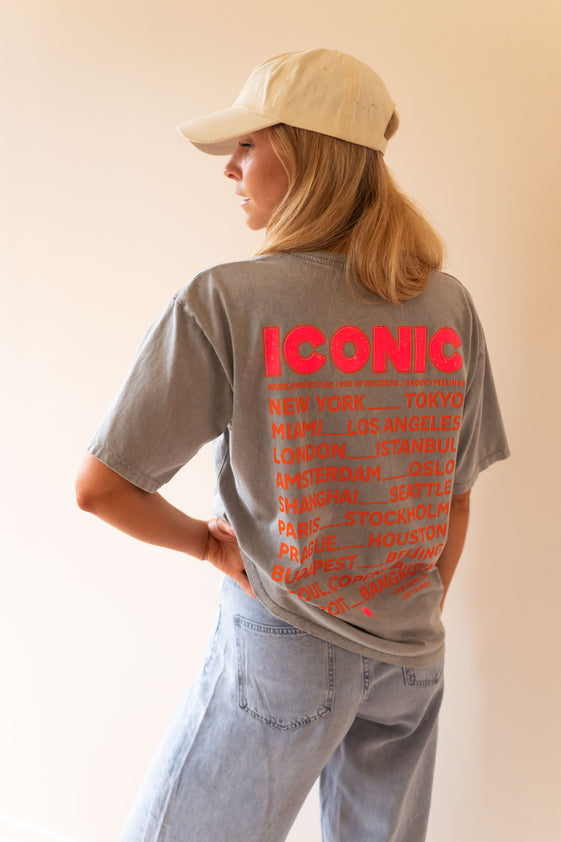 Grey Iconic T-Shirt