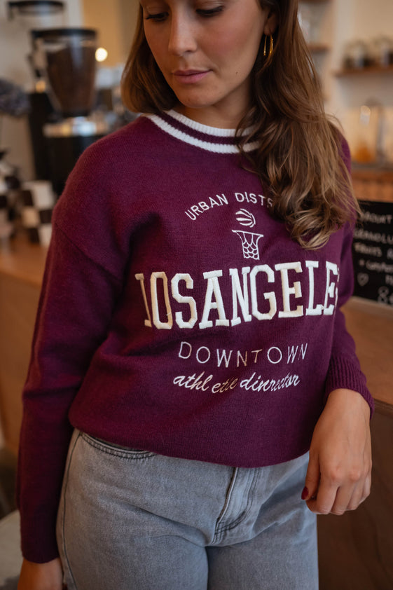 Burgundy Diego Sweater