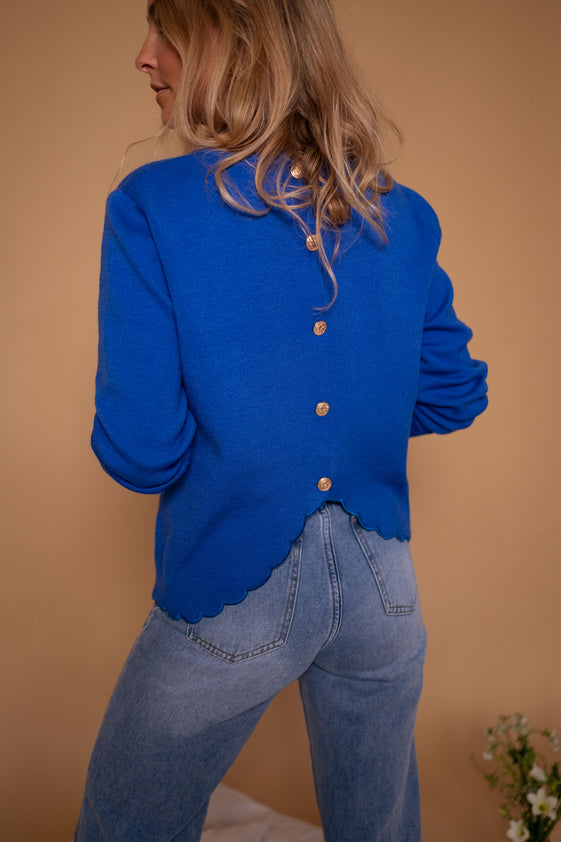 Blue Bess Sweater